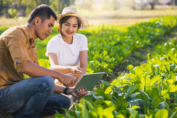 Smart farmer. Organic gardeners young man and women with tablet computer in morning light. Basket with vegetables in the hands of a farmer background of nature Concept. Smart farmer concept.