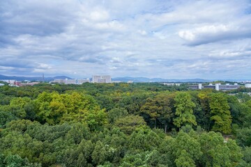 展望台から見下ろす色づき始めた広大な公園の情景＠大阪