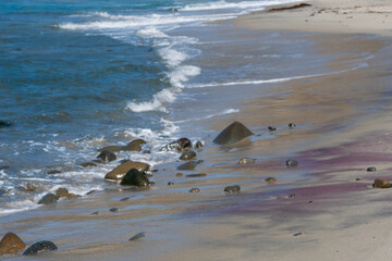 Fototapeta premium Pfieffer Big Sur State Park 