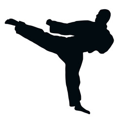 Sport Silhouette - Karate Kick