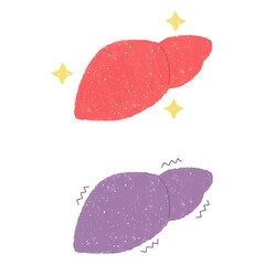 手描きの健康な肝臓と不健康な肝臓のセット　PNG
