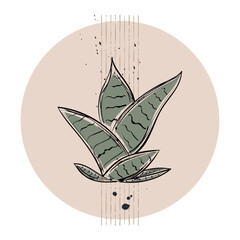 Isolated colored plant sketch icon Vector illustration