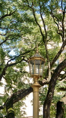 Golden street light in a park in the Retiro district, Buenos Aires, Argentina