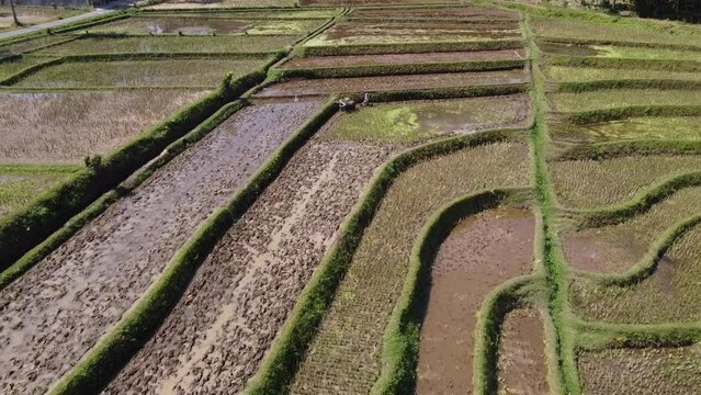 view of terrace rice fields taken with drone move forward ungraded