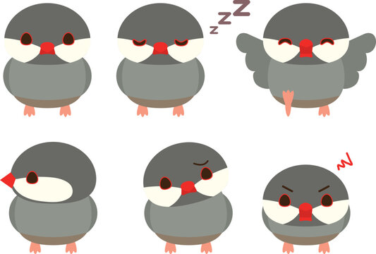 桜文鳥 Images – Browse 148 Stock Photos, Vectors, and Video