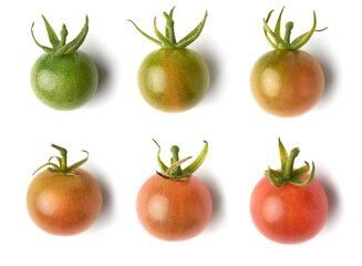 cherry tomatoes, unripe to ripe berries, isolated on white background, closeup view taken straight from above