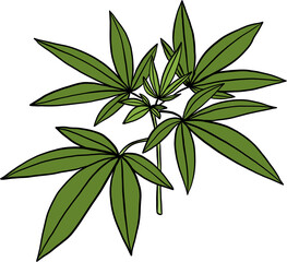 simplicity cannabis plant freehand drawing