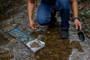 Lavado de oro y minería de gemas. Clasifica la tierra, los guijarros y la tierra para prepararlos...