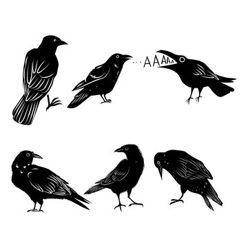 Set of black raven bird icon character vector illustration.