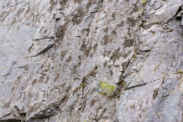Background, texture rough stones of a stone cliff