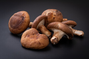 ザルに置かれた椎茸　Shiitake 