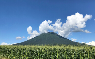 羊蹄山,北海道,夏,