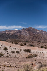 landscape of the mountains