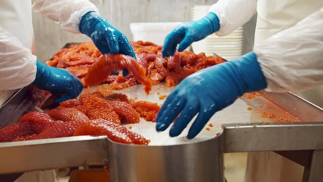An employee of the seafood production and processing plant sorts red salmon caviar in rubber gloves 