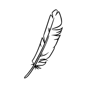 recommend clip art: Feather sketch. Feather for decoration or writing. Vector illustration isolated on white background