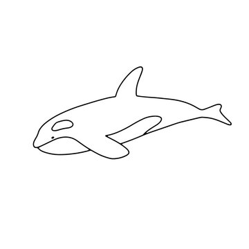 recommend clip art: Vector swimming killer whale isolated on white background. Hand drawn outline doodle illustration ocean or underwater animal
