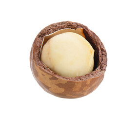 macadamia nuts isolated on  transparent png