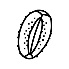 cut fruit kiwi line icon vector. cut fruit kiwi sign. isolated contour symbol black illustration