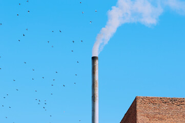 White smoke from a chimney next to a red brick industrial building. Blue cloudless sky on a sunny...