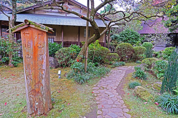 Decorative Japanese style garden