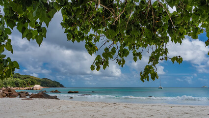Picturesque boulders are scattered on the sandy beach. The waves of the turquoise ocean are foaming. Yachts on the horizon. Green branches hang over a background of blue sky and clouds. Seychelles. 
