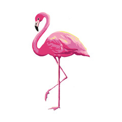 pink flamingo on white background