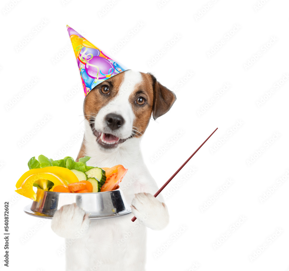 Poster jack russell terrier puppy wearing party cap holds bowl of vegetables and empty list. isolated on wh