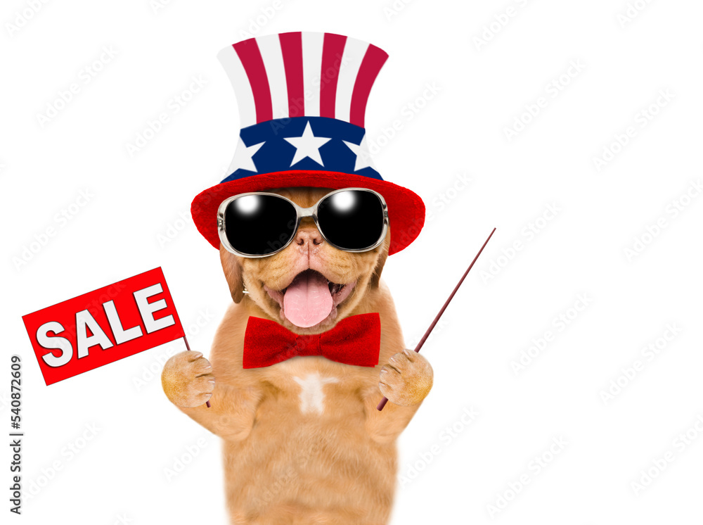 Poster happy mastiff puppy wearing like uncle sam points away on empty space and shows signboard with label