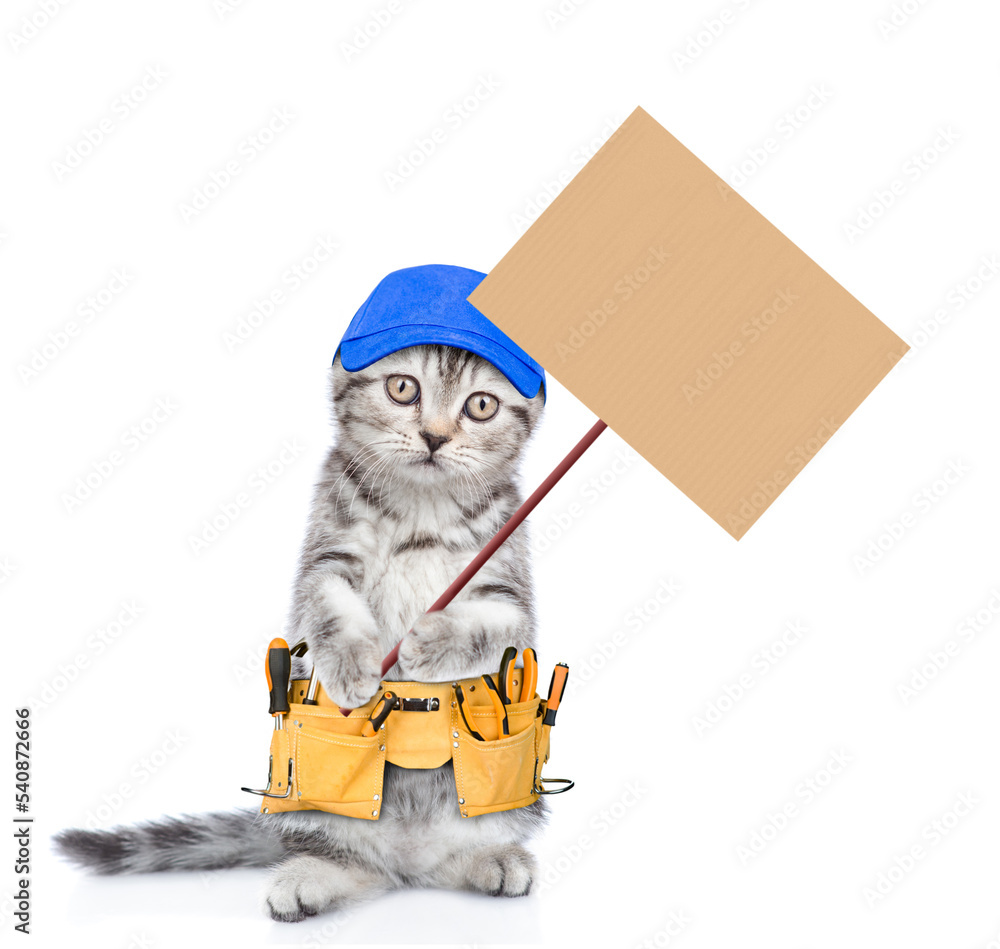 Poster funny cat worker with toolbelt and blue cap shows empty placard. isolated on white background