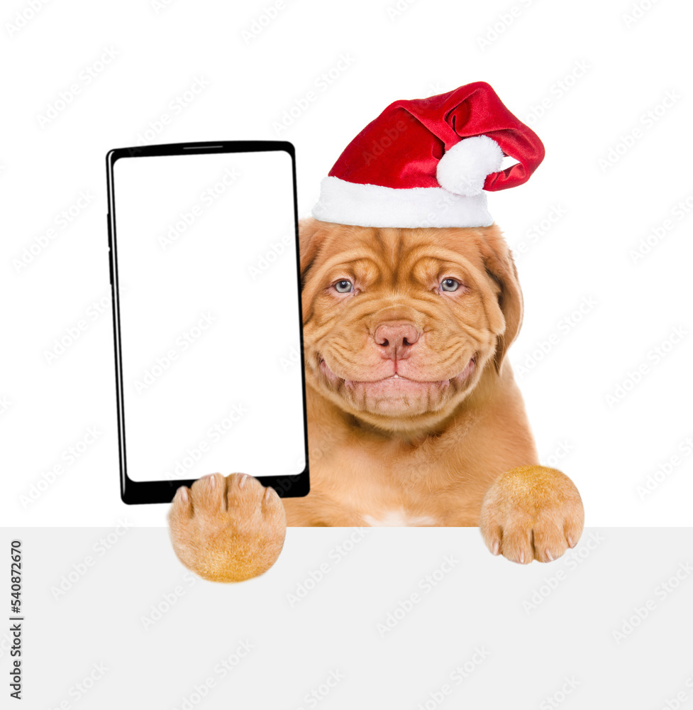 Poster smiling mastiff puppy wearing santa hat holds big smartphone with white blank screen in it paw, show