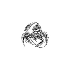 Tatto Design Very Cool Concept