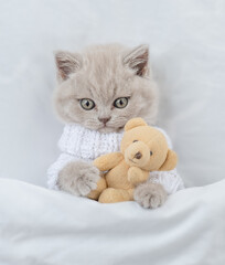Cute kitten wearing warm sweater hugs favorite toy bear under white warm blanket on a bed at home.Top down view
