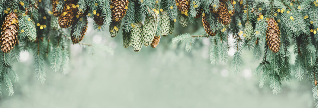 Winter Christmas tree branches with cones in blurred defocused snow with lights border. Copy space. Wide banner. Selective focus on cones