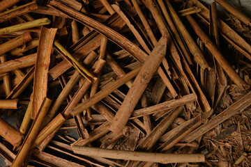 Overhead view of the pile of Ceylon Cinnamon barks which freshly removed from the Cinnamon stems