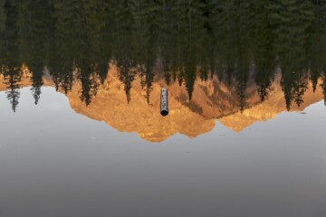 Sunlit Mountain Peak, Green Pine Forest and Fallen Log Tree Upside Down Reflection in calm water of Johnson Lake.  Scenic Banff National Park Autumn Landscape, Canadian Rockies