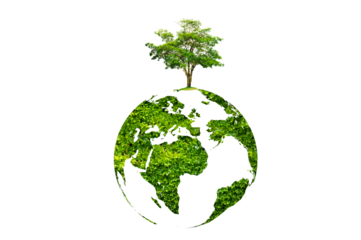 tree in the green globe Isolate on transparent background PNG file