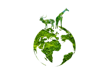 Wildlife shadows in a green globe Isolate on transparent background PNG file