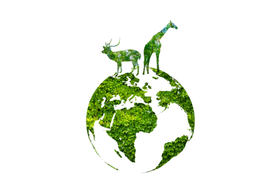 Wildlife shadows in a green globe Isolate on transparent background PNG file