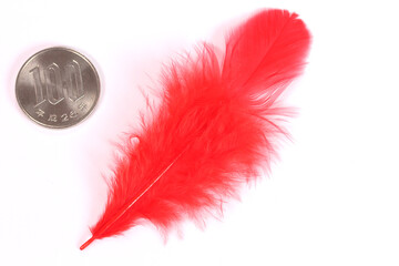 募金イメージ　赤い羽根と100円硬貨