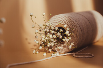 Delicate white flowers of gypsophila with spool of white cotton rope on neutral beige background....