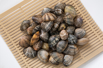 ザルの置かれたあさり　Shellfish　