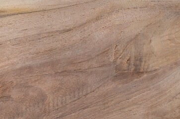 Wood texture. Lining boards wall. Wooden background. pattern. Showing growth rings