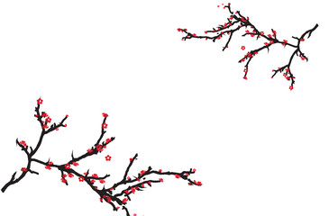 Plum Blossoms  vector flowers, Chinese flowers, Beautiful flowers