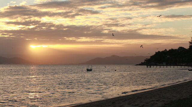 sunset at the beach with a boat and birds over the sea