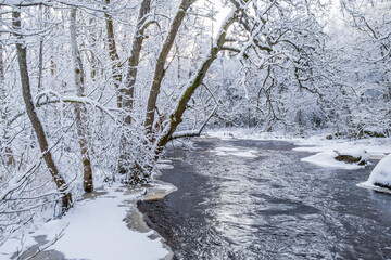 Ice on the shore of a river in winter