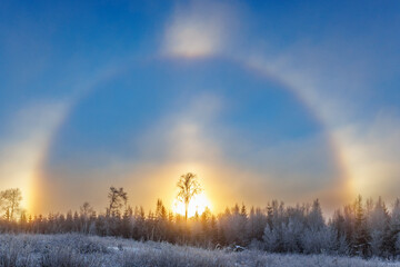 Awesome sun halo and sun dogs at a winter forest