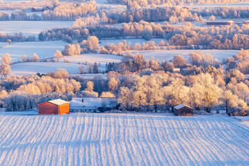 Wintry landscape view at a farm