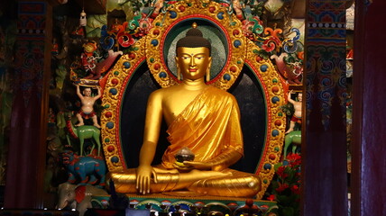 Fototapeta premium Gautam Buddha