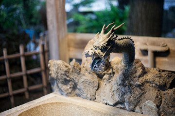 神社の龍　shrine dragon