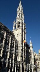 Naklejka premium Hôtel de ville de Bruxelles grand place Belgique 